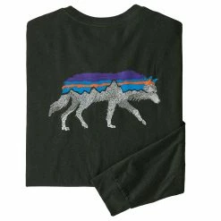 Patagonia Men's Long-Sleeved Back For Good Responsibili-Tee® Shirt